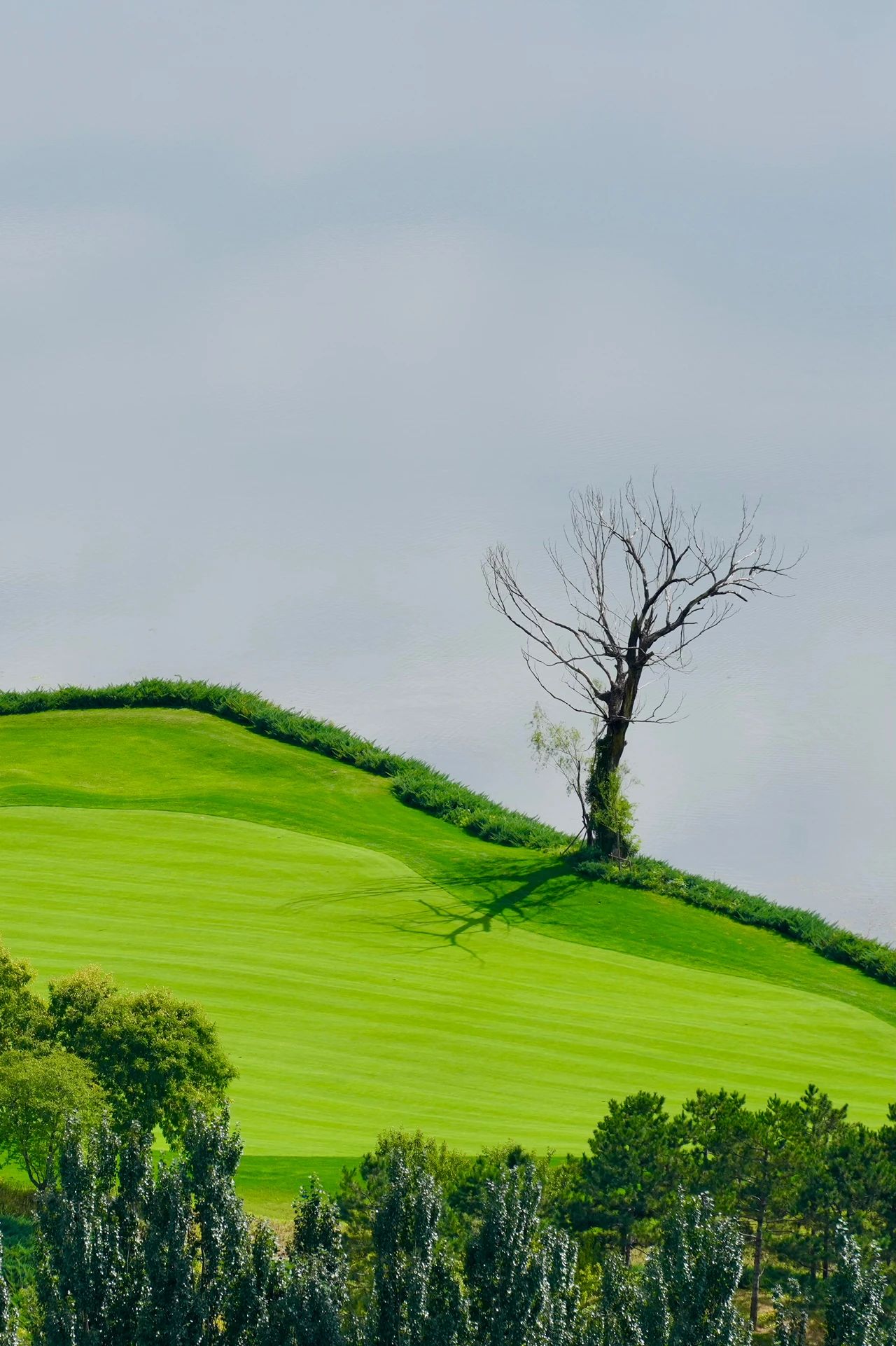 Featured image of post 香港麦理浩径